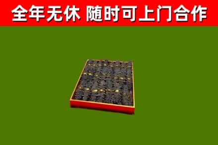 绥化市回收海参
